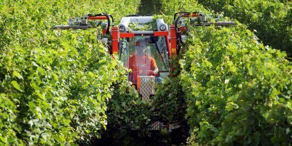 Antonio Carraro Tractor TR 7600 INFINITY